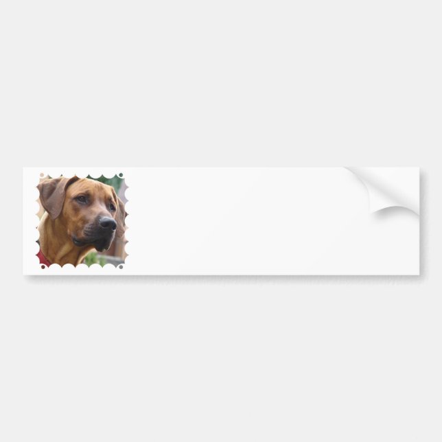 Rhodesian Ridgeback Bumper Sticker (Front)