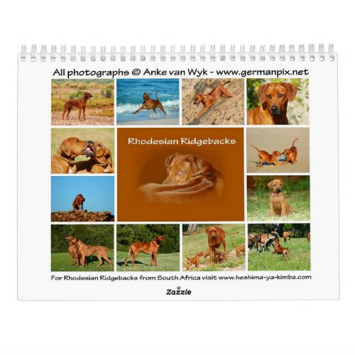 Rhodesian Ridgeback calendar