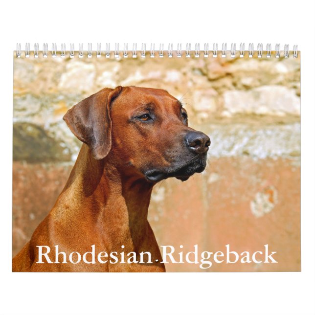 Rhodesian Ridgeback Calendar (Cover)