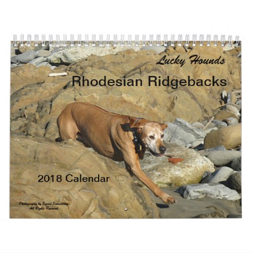 Rhodesian Ridgeback Calendar 2018
