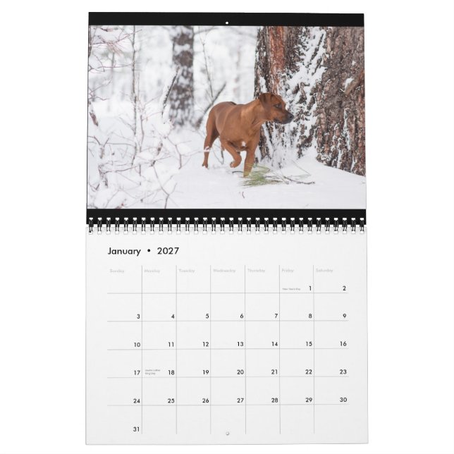 Rhodesian Ridgeback Calendar 2018 (Jan 2027)