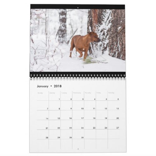 Rhodesian Ridgeback Calendar 2018