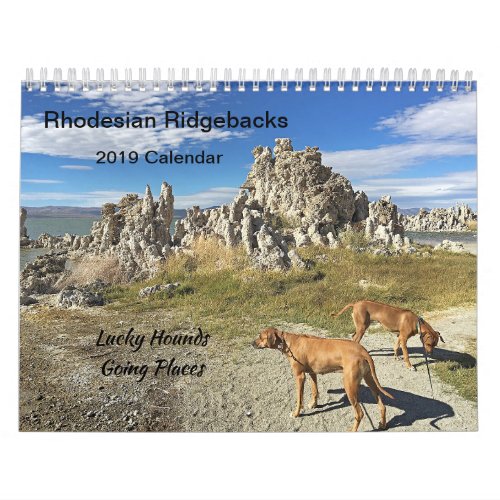 Rhodesian Ridgeback Calendar 2019 Going Places