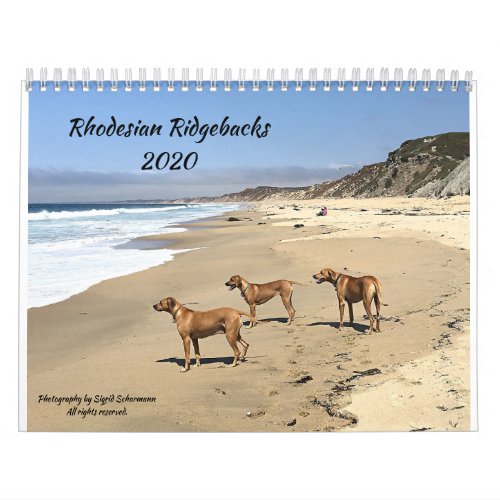 Rhodesian Ridgeback Calendar 2020