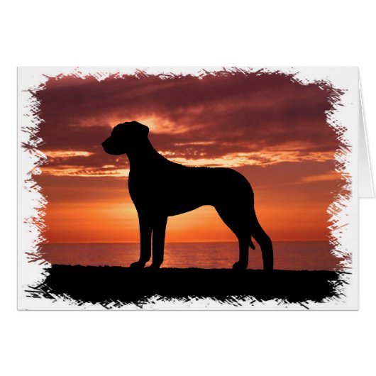 Rhodesian Ridgeback Cards (Front Horizontal)