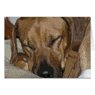 Rhodesian Ridgeback Cards