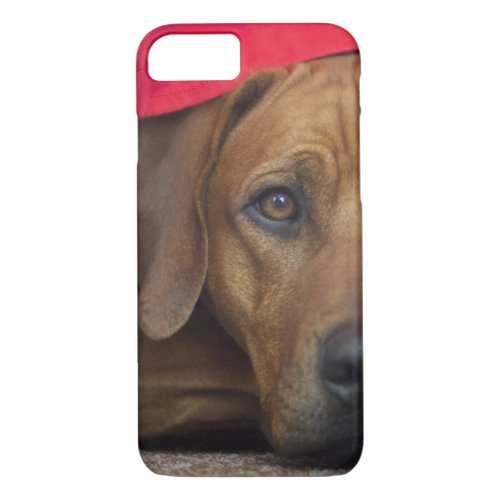 rhodesian_ridgeback iPhone 87 case