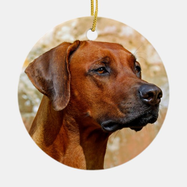 Rhodesian Ridgeback Ceramic Ornament (Front)