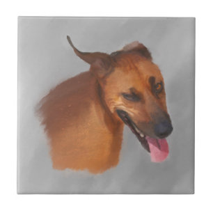 Rhodesian Ridgeback Ceramic Tile