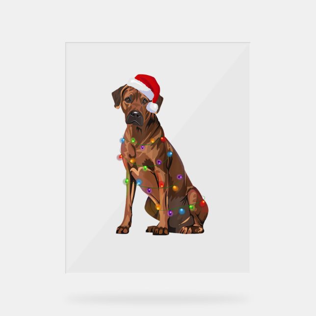 Rhodesian Ridgeback Christmas Lights Xmas Dog Love Acrylic Sign (Front)