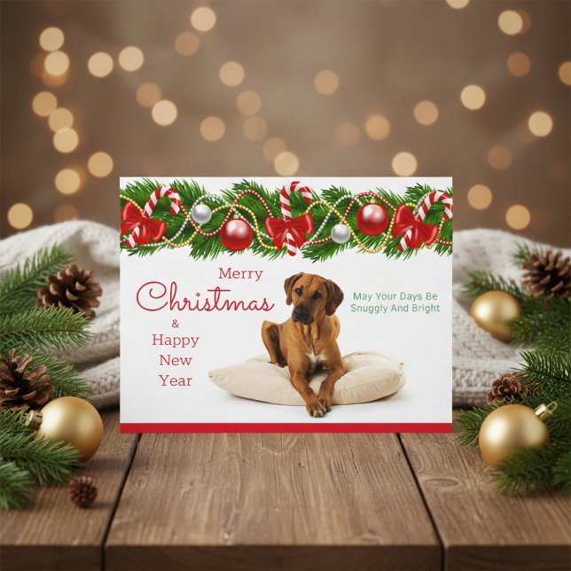 Rhodesian Ridgeback Christmas Postcard (Rhodesian Ridgeback Christmas Postcard)