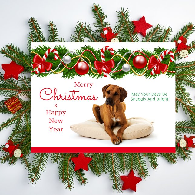 Rhodesian Ridgeback Christmas Postcard (Rhodesian Ridgeback Christmas Card)