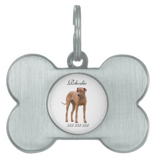 Rhodesian Ridgeback custom name dog id tag