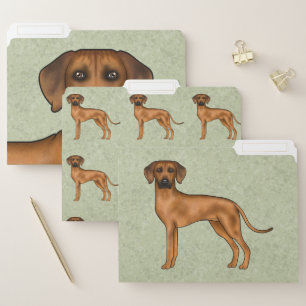 Rhodesian Ridgeback Cute African Lion Dog Green File Folder