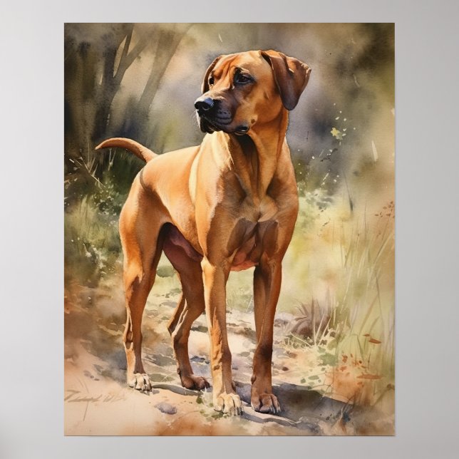 Rhodesian Ridgeback Dog Art Print Poster (Front)