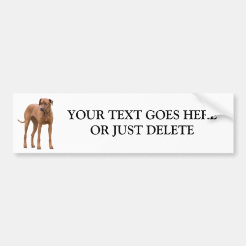 Rhodesian Ridgeback dog beautiful photo custom Bumper Sticker