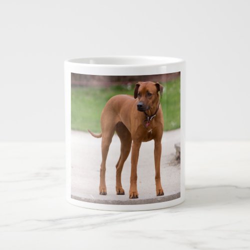 Rhodesian Ridgeback dog beautiful photo gift Giant Coffee Mug