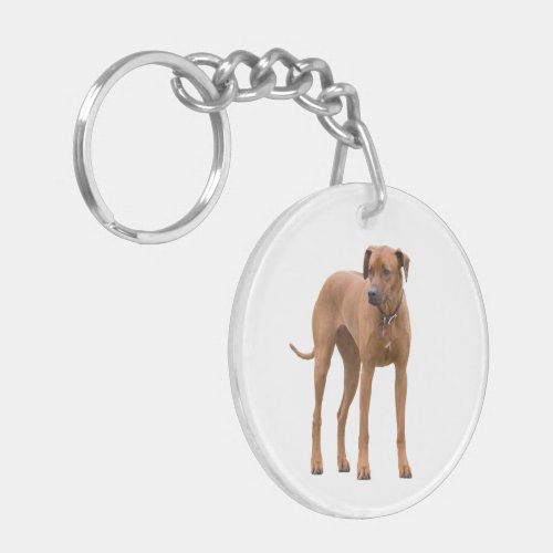 Rhodesian Ridgeback dog beautiful photo gift Keychain