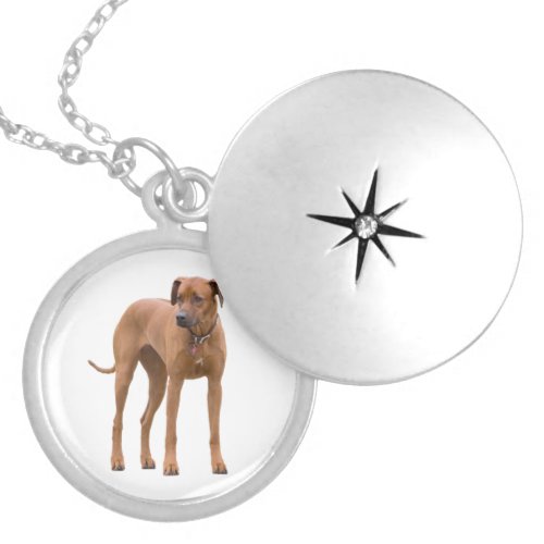 Rhodesian Ridgeback dog beautiful photo gift Silver Plated Necklace