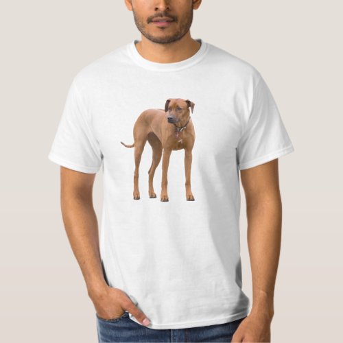 Rhodesian Ridgeback dog beautiful photo gift T_Shirt