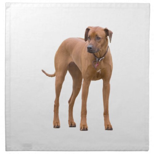 Rhodesian Ridgeback dog beautiful photo Napkin