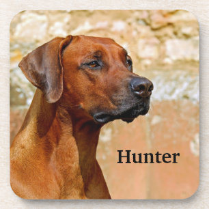 Rhodesian Ridgeback Dog Beverage Coaster