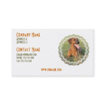 Rhodesian Ridgeback Dog Business Card