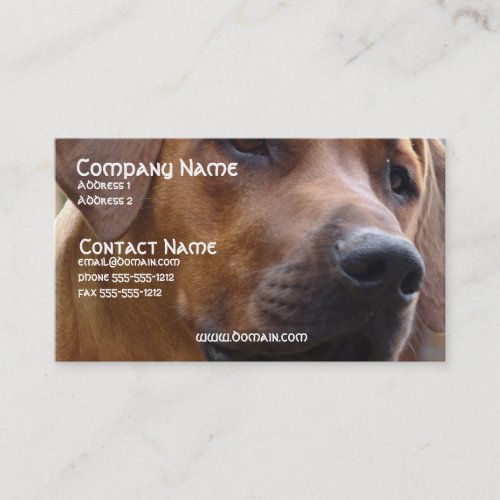 Rhodesian Ridgeback Dog Business Card