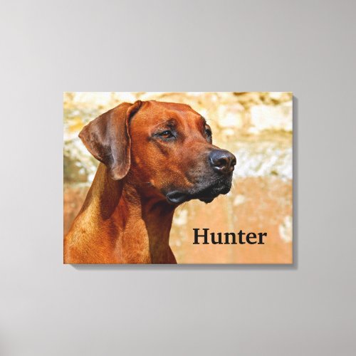 Rhodesian Ridgeback Dog Canvas Print