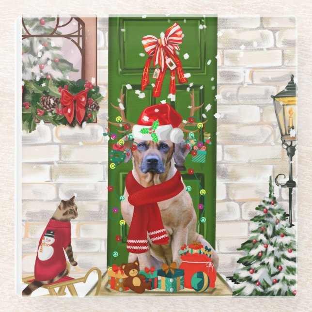 Rhodesian Ridgeback Dog Christmas Glass Coaster (Front)