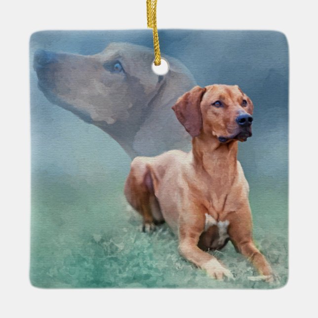 Rhodesian Ridgeback Dog Collage Ceramic Ornament (Front)