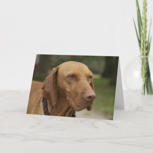 Rhodesian Ridgeback Dog Greeting Card