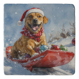 Rhodesian Ridgeback Dog in Sledge Christmas Trivet