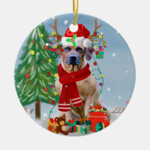 Rhodesian Ridgeback Dog in Snow Christmas Gift Ceramic Ornament