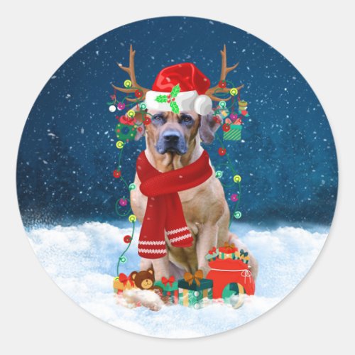 Rhodesian Ridgeback Dog in Snow Christmas Gift  Classic Round Sticker