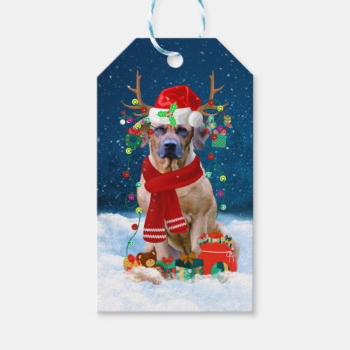 Rhodesian Ridgeback Dog in Snow Christmas Gift  Gift Tags