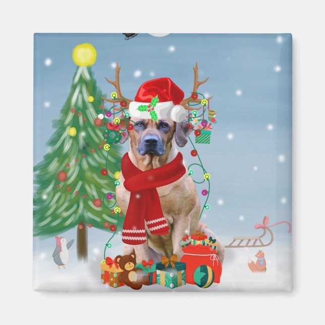 Rhodesian Ridgeback Dog in Snow Christmas Gift   Magnet (Front)