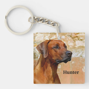 Rhodesian Ridgeback Dog Keychain