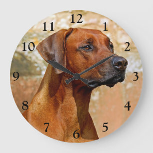 Rhodesian Ridgeback Dog Large Clock