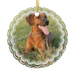 Rhodesian Ridgeback Dog Ornament