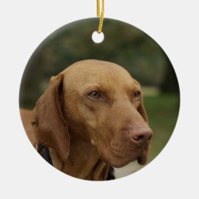 Rhodesian Ridgeback Dog Ornament (Front)