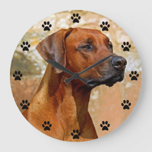 Rhodesian Ridgeback Dog Paw Print Time Large Clock