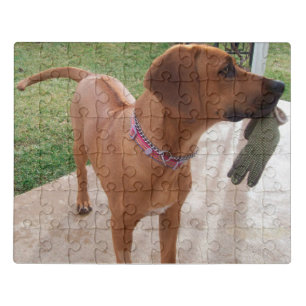 RHODESIAN RIDGEBACK Dog Pet Breed Jigsaw Puzzle