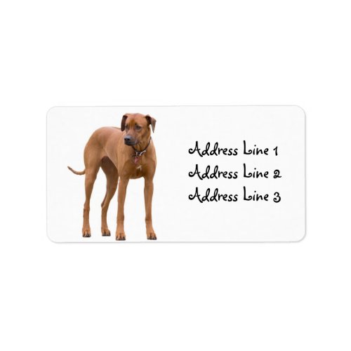 Rhodesian Ridgeback Dog Photo Address Label