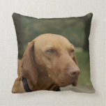 Rhodesian Ridgeback Dog Pillow