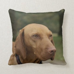 Rhodesian Ridgeback Dog Pillow