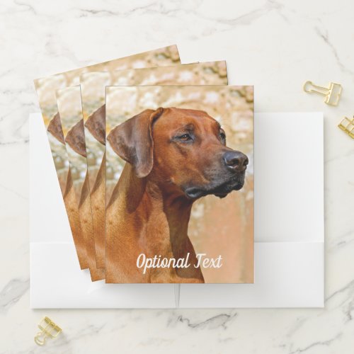 Rhodesian Ridgeback Dog Pocket Folder