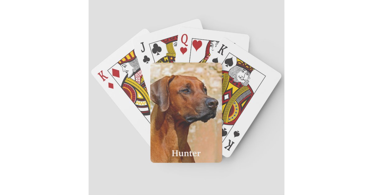 Rhodesian Ridgeback Dog Poker Cards | Zazzle