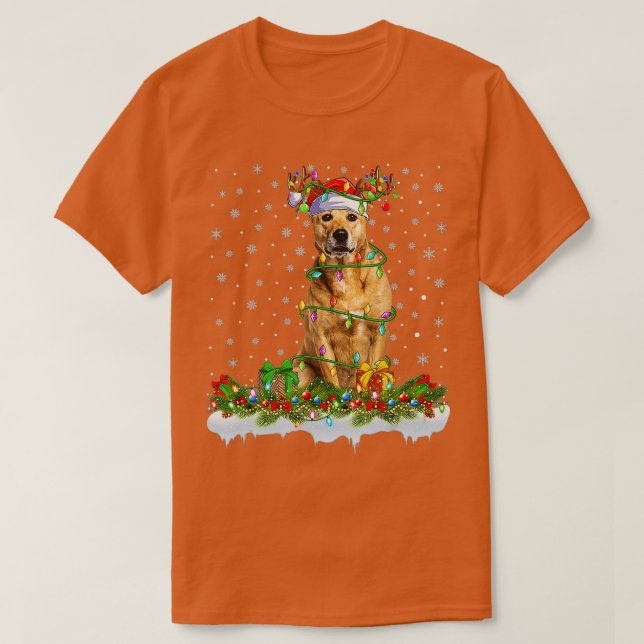 Rhodesian Ridgeback Dog Santa Hat Reindeer Christm T-Shirt (Design Front)