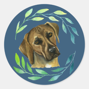 Rhodesian Ridgeback Dog Watercolor Painting Classic Round Sticker
